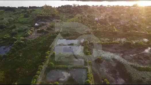 Fazenda/Sítio com 4 Quartos à venda, 242000m² no , Santana do São Francisco