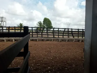 Fazenda/Sítio com 10 Quartos à venda, 4000000m² no , Macaíba