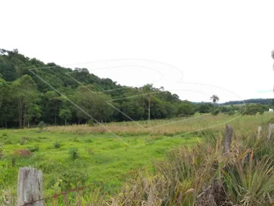 à venda, 20000m² no Jacutinga, Jacutinga