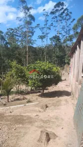 Fazenda/Sítio com 3 Quartos à venda, 134m² no Jardim dos Eucaliptos, São Paulo