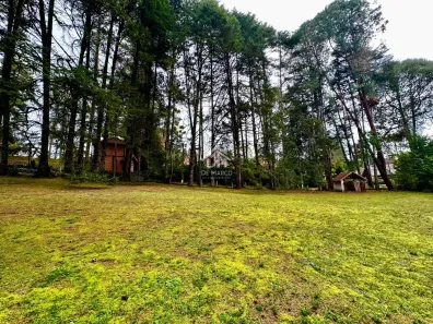 Lote/Terreno à venda, 1180m² no Lot Véu da Noiva, Campos do Jordão
