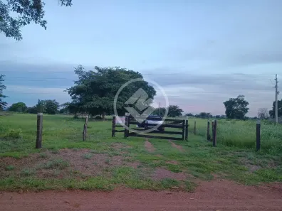 Fazenda/Sítio à venda, 6m² no Área Rural de Cuiabá, Cuiabá