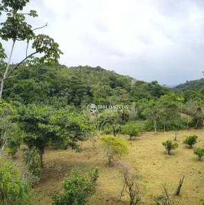 Fazenda/Sítio à venda, 65000m² no , Maraú