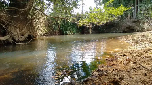 Fazenda/Sítio com 4 Quartos à venda, 23000m² no , Jaboticatubas