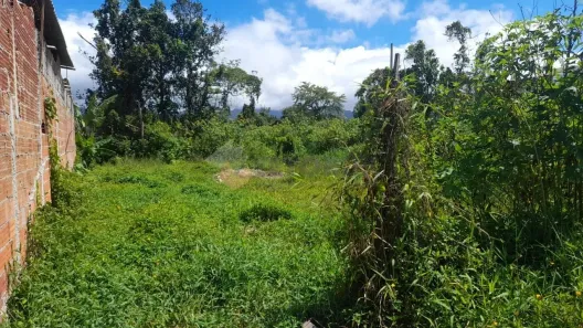 Lote/Terreno à venda, 294m² no Balneário Mar Azul, Caraguatatuba