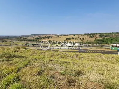 Lote/Terreno à venda, 300m² no Granja Marileusa, Uberlândia