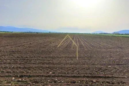 Lote/Terreno à venda, 34400m² no Recanto da Fazenda, Nova Odessa