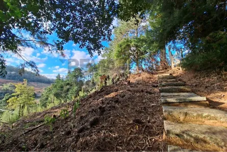 Lote/Terreno à venda, 1800m² no Varginha, Nova Friburgo