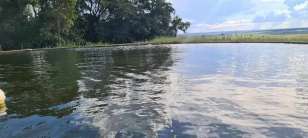 Fazenda/Sítio com 2 Quartos à venda, 551000m² no Centro, Rio Verde de Mato Grosso