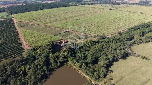 Fazenda/Sítio à venda, 275018m² no Sobradinho, Mogi Mirim