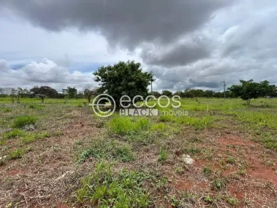 Lote/Terreno à venda, 250m² no Laranjeiras, Uberlândia