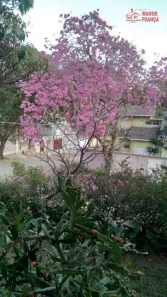 Casa com 4 Quartos à venda, 500m² no Belveder Clube dos 500, Guaratinguetá