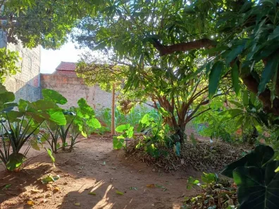 Lote/Terreno à venda, 450m² no Jardim Minnesota (Nova Veneza), Sumaré
