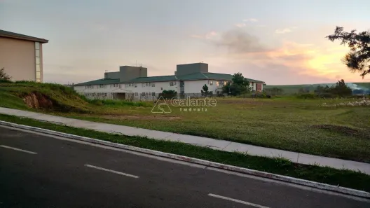 Lote/Terreno para alugar, 1032m² no Loteamento Alphaville Campinas, Campinas