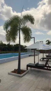 Apartamento com 2 Quartos para alugar, 50m² no Jardins, São Gonçalo do Amarante