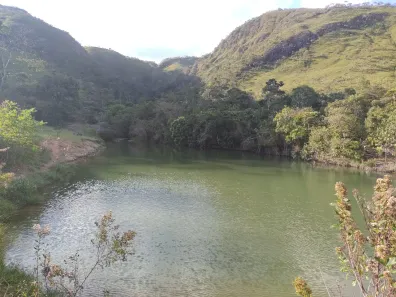 Fazenda/Sítio à venda no Centro, Mimoso de Goiás