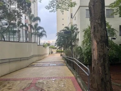 Apartamento com 3 Quartos para alugar, 55m² no Jardim Esmeralda, São Paulo