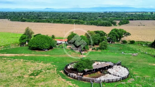 Fazenda/Sítio com 4 Quartos à venda, 630m² no , Poconé