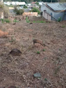 Lote/Terreno à venda, 360m² no Icaivera, Contagem