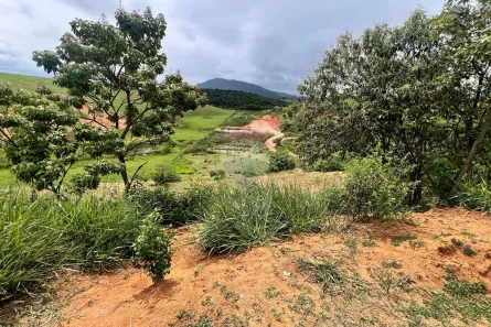 Lote/Terreno à venda, 5000m² no , Anchieta