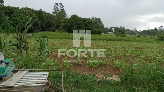 Lote/Terreno à venda, 4000m² no Vila Ipiranga, Mogi das Cruzes
