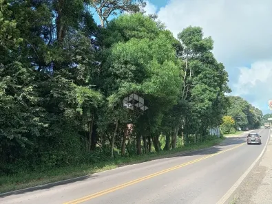 Lote/Terreno à venda, 980m² no Nova Petrópolis, Nova Petrópolis