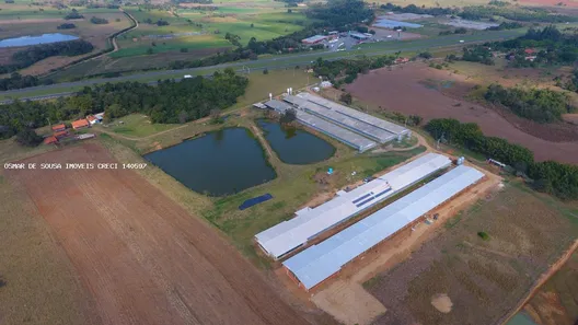 Fazenda/Sítio com 5 Quartos à venda, 193600m² no Jardim Europa, Cesário Lange