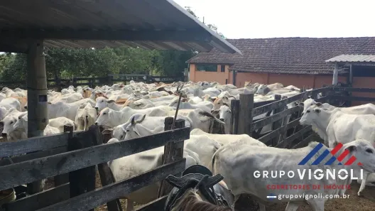Fazenda/Sítio à venda, 1258400m² no São Vicente de Paula, Araruama