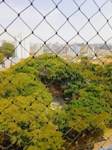 Cobertura com 3 Quartos à venda, 182m² no Nova Petrópolis, São Bernardo do Campo