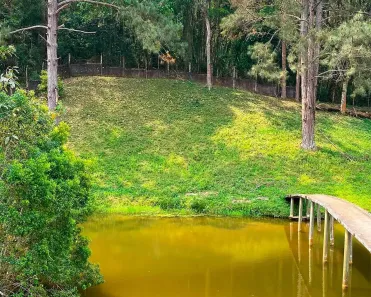 Fazenda/Sítio à venda, 500m² no Recreio, Ibiúna