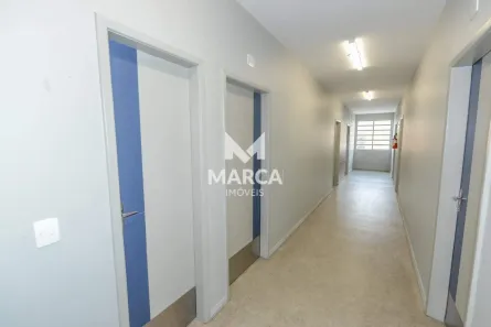 Sala Comercial para alugar, 267m² no Alto Barroca, Belo Horizonte
