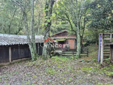 Fazenda/Sítio com 5 Quartos à venda, 146m² no Centro, São Francisco de Paula