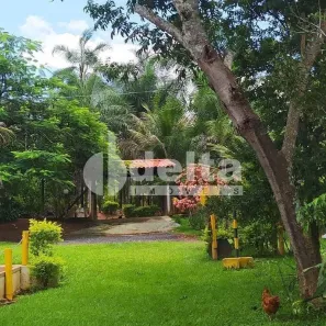 Fazenda/Sítio com 2 Quartos à venda, 400m² no Minas Gerais, Uberlândia