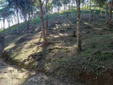 Lote/Terreno à venda, 1282m² no , Santo Amaro da Imperatriz