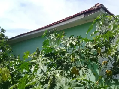 Lote/Terreno à venda, 1118m² no Parada Inglesa, São Paulo