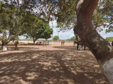Fazenda/Sítio com 3 Quartos à venda, 270000m² no , Macaíba
