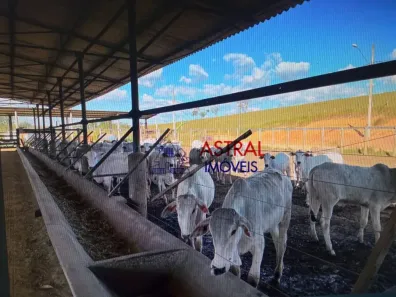 Fazenda/Sítio com 5 Quartos à venda, 2565200m² no Chácara Marambaia, Caçapava