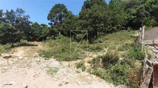 Lote/Terreno para alugar, 3000m² no Reolon, Caxias do Sul