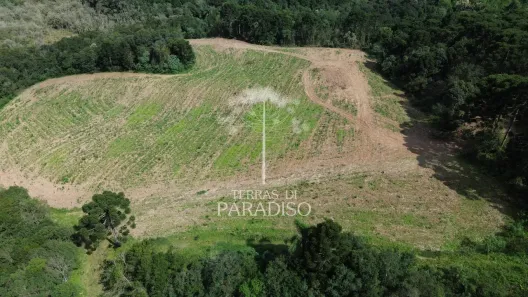 Fazenda/Sítio com 2 Quartos à venda, 120000m² no Bateias de Baixo, Campo Alegre