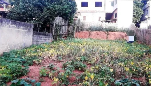Lote/Terreno à venda, 250m² no Cristal, Ubá