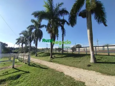 Fazenda/Sítio à venda, 800m² no Centro, Taubaté