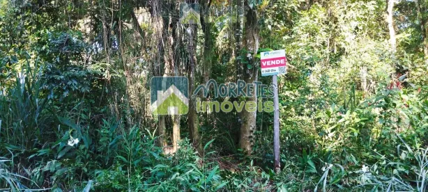 Lote/Terreno à venda, 27095m² no Morretes, Morretes