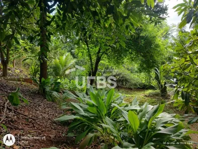 Fazenda/Sítio com 4 Quartos à venda, 5314m² no Jardim Novo Mundo, Goiânia