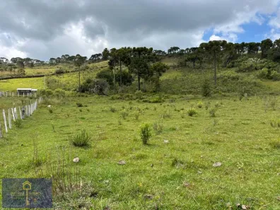 Lote/Terreno à venda, 20000m² no , São Joaquim
