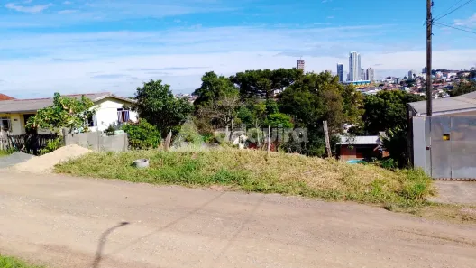 Lote/Terreno à venda, 462m² no Uvaranas, Ponta Grossa
