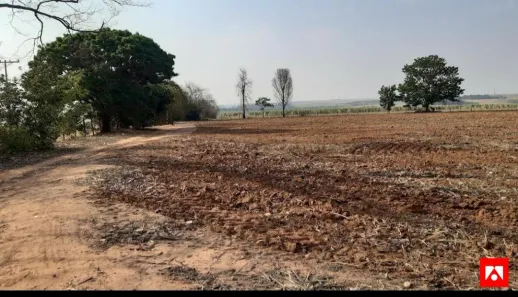 Fazenda/Sítio à venda, 200m² no Vila Romi, Santa Bárbara D'Oeste