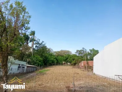 Lote/Terreno à venda, 1303m² no Centro, Santa Cruz do Sul
