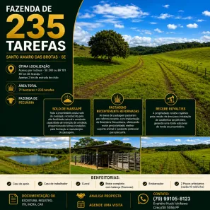 Fazenda/Sítio à venda, 710875m² no Centro, Santo Amaro das Brotas