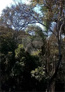 Lote/Terreno à venda, 1044m² no Caraguatá, Mairiporã
