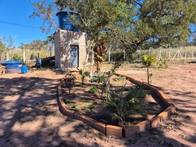 Fazenda/Sítio com 2 Quartos à venda, 180m² no Área Rural de Uberlândia, Uberlândia